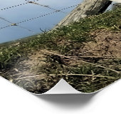 かわいい子羊 ポスター (コーナー)