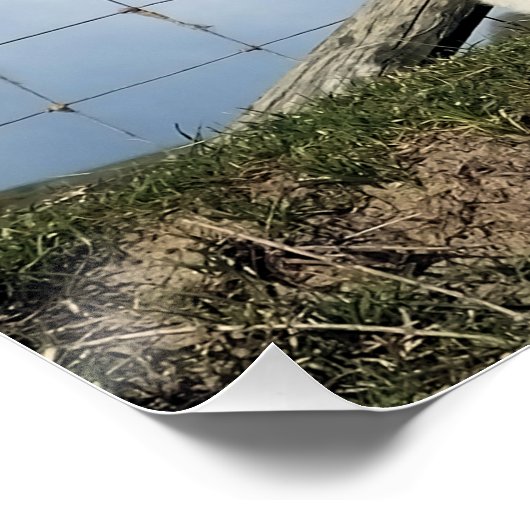 かわいい子羊 ポスター (コーナー)