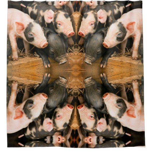 かわいい子豚 シャワーカーテン (正面)