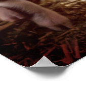 かわいい子豚 ポスター (角)