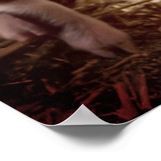 かわいい子豚 ポスター (角)