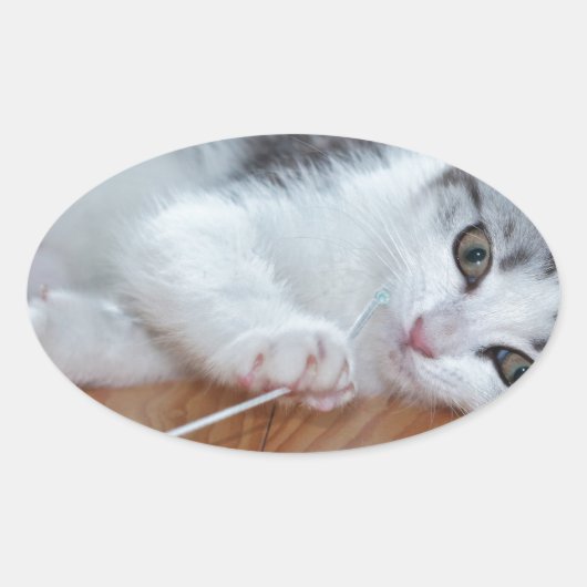 かわいい子遊ネコの紐 楕円形シール (正面)