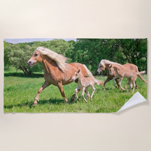 かわいい子馬を持つHaflingerの馬は走りますおもしろいな写真の_を ビーチタオル (正面)