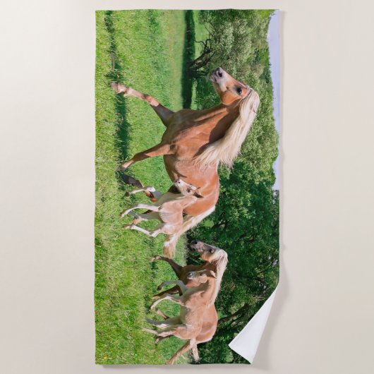 かわいい子馬を持つHaflingerの馬は走りますおもしろいな写真の_を ビーチタオル (正面)