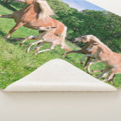 かわいい子馬を持つHaflingerの馬は走りますおもしろいな写真を/ シェルパブランケット (3/4)