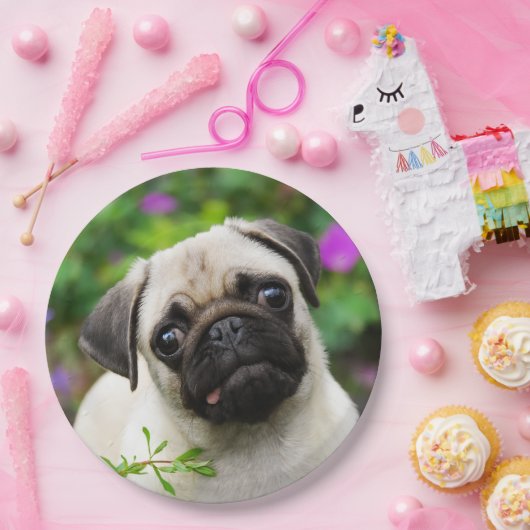 かわいい子鹿のパグの小犬のポートレート、幸せなパーティー ペーパープレート (パーティー)