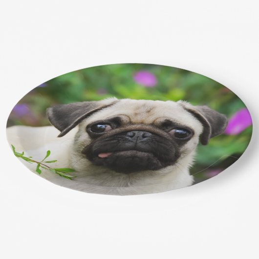 かわいい子鹿のパグの小犬のポートレート、幸せなパーティー ペーパープレート (アングル)