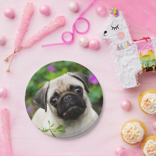 かわいい子鹿のパグの小犬のポートレート、幸せなパーティー ペーパープレート (パーティー)