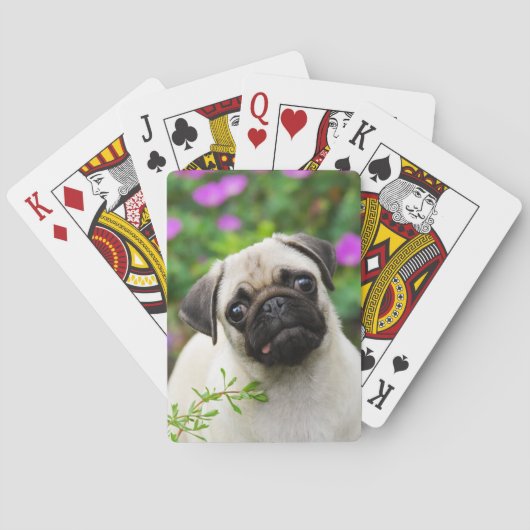 かわいい子鹿色の子犬顔ペット写真- トランプ (裏面)