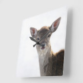 かわいい子鹿2 #animal #art スクエア壁時計 (傾斜)