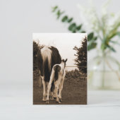 かわいい子 ポストカード (スタンド正面)