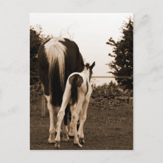 かわいい子 ポストカード