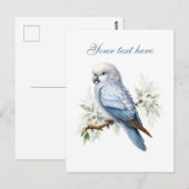 かわいい季節限定の冬の鳥の追加文字 ポストカード (正面/裏面)