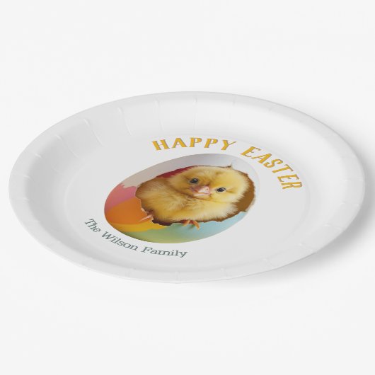 かわいい孵化カラフル雛イースター卵パーティー ペーパープレート (アングル)