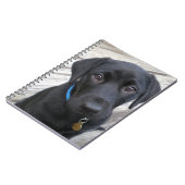 かわいい実験室 ノートブック (左側)