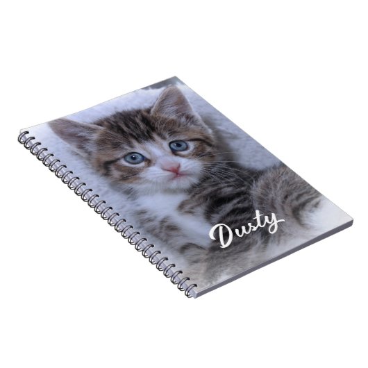 かわいい家族の子猫の写真 ノートブック (右側)