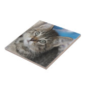 かわいい家族の猫写真 タイル (側面)