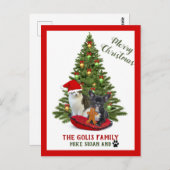 かわいい家族ペット犬猫メリークリスマス ポストカード (正面/裏面)