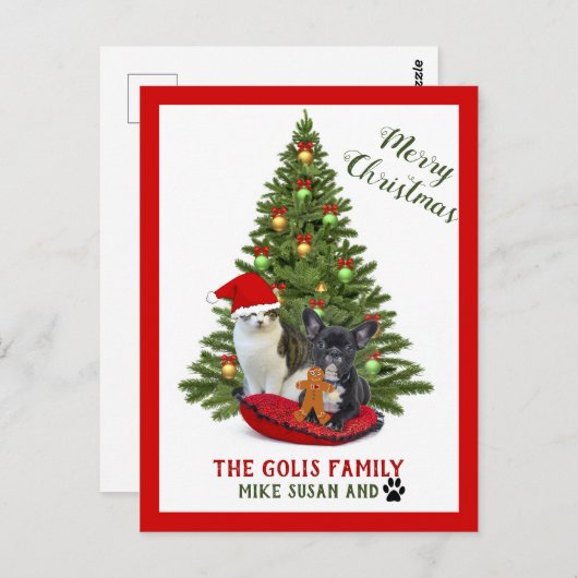 かわいい家族ペット犬猫メリークリスマス ポストカード (正面/裏面)