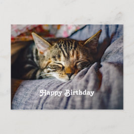 かわいい寝ているタビー猫の写真 誕生日 ポストカード