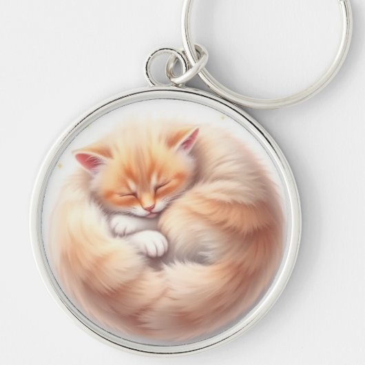 かわいい寝猫 キーホルダー (正面)