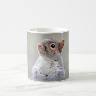 かわいい小さなかわふわの灰色リス コーヒーマグカップ
