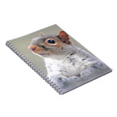 かわいい小さなかわふわの灰色リス ノートブック (右側)