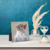 かわいい小さなかわふわの灰色リス フォトプラーク (インサイチュ)