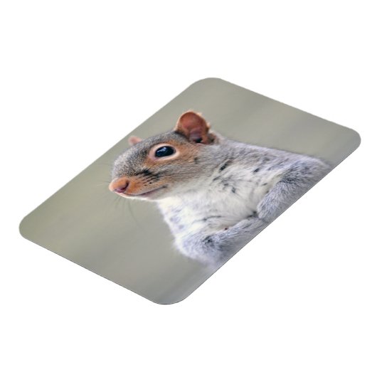 かわいい小さなかわふわの灰色リス マグネット (左側)