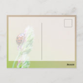 かわいい小さなてんとう虫と一緒に幸運を! ポストカード (裏面)