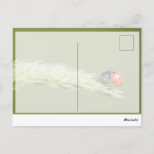 かわいい小さなてんとう虫と一緒に幸運を！ ポストカード (裏面)