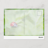 かわいい小さなてんとう虫と一緒に幸運を! ポストカード (裏面)