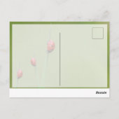 かわいい小さなてんとう虫と一緒に幸運を！ ポストカード (裏面)