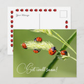 かわいい小さなてんとう虫と一緒に早く回復して ポストカード (正面/裏面)