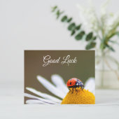 かわいい小さなてんとう虫のラッキー ポストカードで幸運を祈って! ポストカード (スタンド正面)