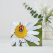 かわいい小さなてんとう虫のラッキー ポストカードで幸運を祈って！ ポストカード (スタンド正面)