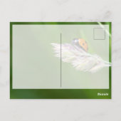 かわいい小さなてんとう虫のラッキー ポストカードで幸運を祈って！ ポストカード (裏面)