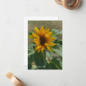 かわいい小さなひまわり ノートカード (正面/裏面インサイチュ)