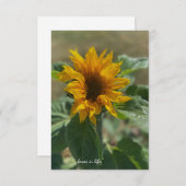 かわいい小さなひまわり ノートカード (正面/裏面)