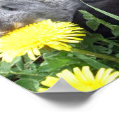 かわいい小さなウサギのバンニーダンデリオングラス自然 ポスター (角)