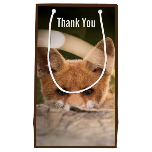 かわいい小さなオレンジの写真ありがとうキツネ スモールペーパーバッグ (正面)