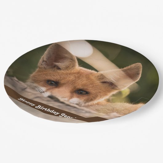 かわいい小さなオレンジ色のキツネ誕生日 ペーパープレート (アングル)