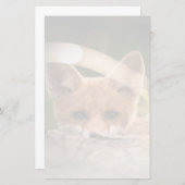 かわいい小さなオレンジ色のキツネ (正面/裏面)