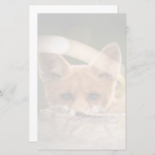 かわいい小さなオレンジ色のキツネ (正面/裏面)