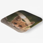 かわいい小さなオレンジ色のキツネ ペーパープレート (傾斜あり)