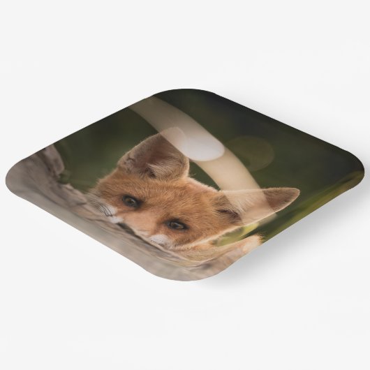 かわいい小さなオレンジ色のキツネ ペーパープレート (傾斜あり)