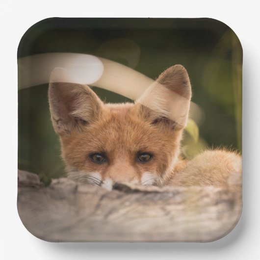 かわいい小さなオレンジ色のキツネ ペーパープレート (正面)