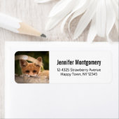 かわいい小さなオレンジ色のキツネ ラベル (インサイチュ)