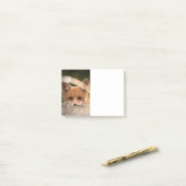 かわいい小さなオレンジ色の狐の写真 ポストイット (デスク上)