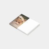 かわいい小さなオレンジ色の狐の写真 ポストイット (アングル)